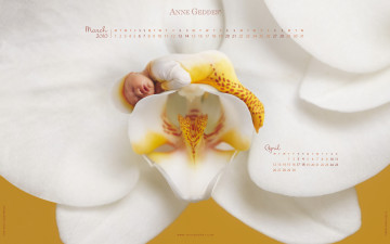 Картинка календари дети