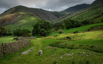 Картинка природа пейзажи