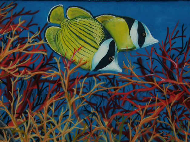 Обои картинки фото разное, граффити, рыба