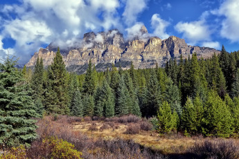 Картинка природа пейзажи горы лес облака