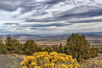 Картинка природа пейзажи растительность холмы равнина