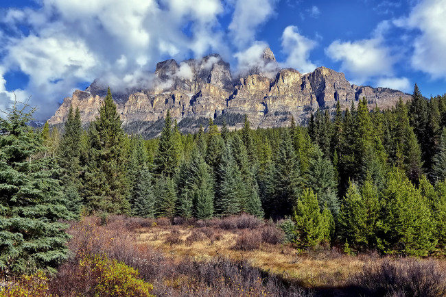 Обои картинки фото природа, пейзажи, горы, лес, облака