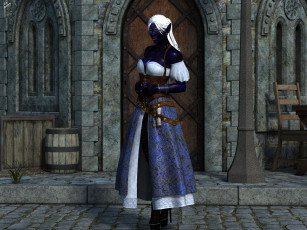 Картинка 3д+графика эльфы+ elves эльфийка взгляд фон