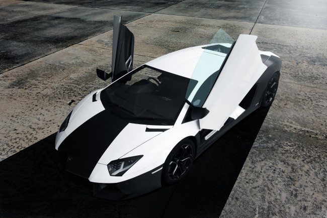 Обои картинки фото lamborghini aventador, автомобили, lamborghini, black, aventador, front, перед, авентадор, ламборгини, white
