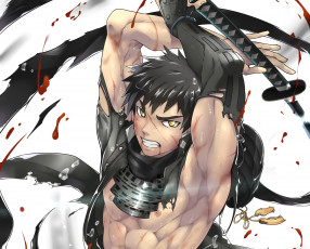 Картинка аниме touken+ranbu парень touken ranbu