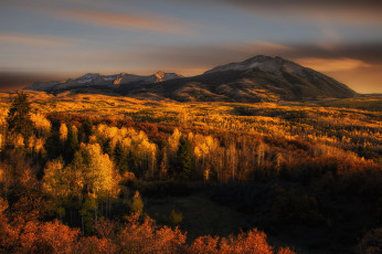 Картинка природа пейзажи осень лес деревья горы