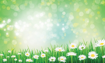 Картинка векторная+графика цветы+ flowers цветы фон ромашки