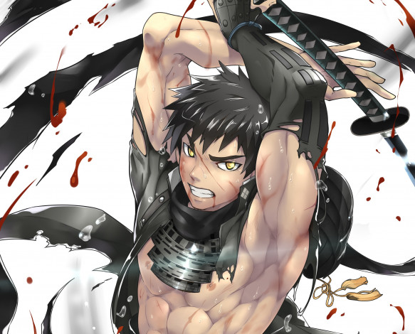 Обои картинки фото аниме, touken ranbu, парень, touken, ranbu