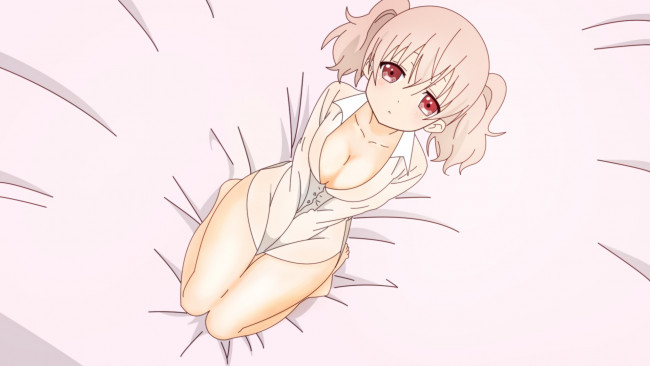 Обои картинки фото аниме, inu x boku ss, девочка