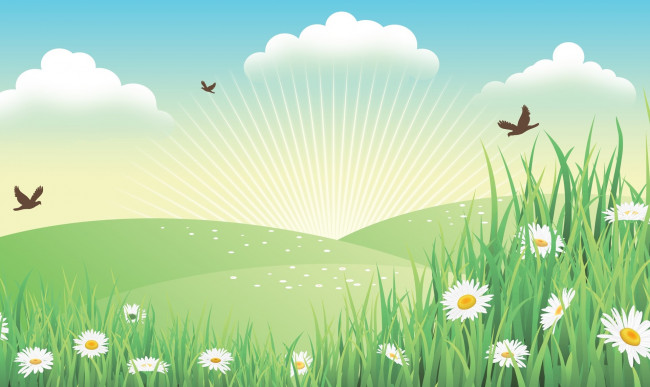 Обои картинки фото векторная графика, цветы , flowers, цветы, фон