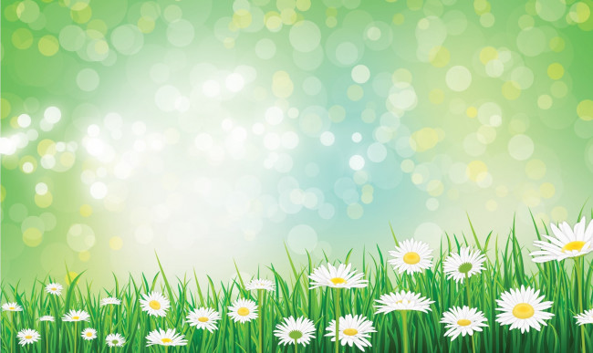 Обои картинки фото векторная графика, цветы , flowers, цветы, фон, ромашки