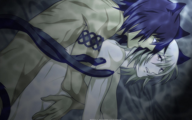 Обои картинки фото аниме, lamento, ламенто, оборотни, парни