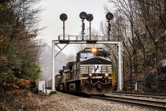 Обои картинки фото техника, поезда, рельсы, локомотив, состав