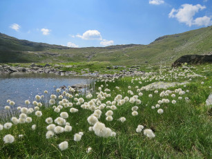 Картинка природа горы озеро