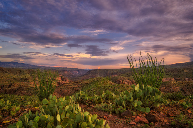 Обои картинки фото природа, пустыни, простор