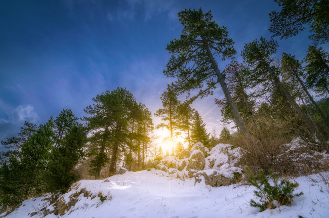 Обои картинки фото природа, зима, рассвет