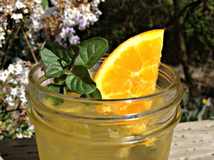 Картинка еда напитки +коктейль апельсин коктейль бокал