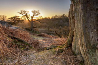 Картинка природа пейзажи простор