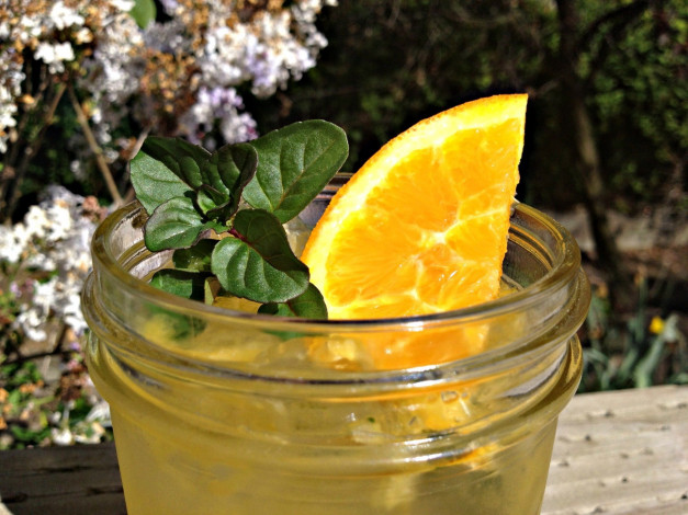 Обои картинки фото еда, напитки,  коктейль, апельсин, коктейль, бокал