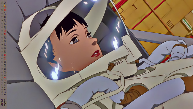 Обои картинки фото календари, аниме, шлем, лицо, девушка