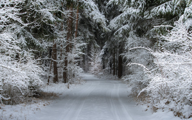 Обои картинки фото природа, зима, простор