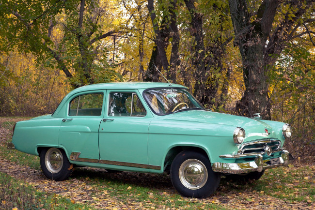 Обои картинки фото газ м21 1956, автомобили, газ, природа, ретро, м21, волга