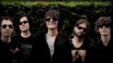 Картинка wilki музыка группа