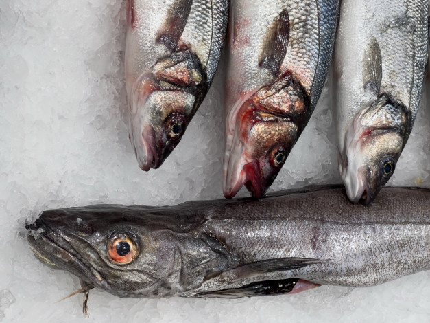 Обои картинки фото еда, рыба,  морепродукты,  суши,  роллы, свежая