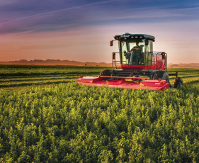 обоя техника, комбайны, massey, ferguson