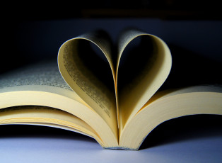 Картинка разное канцелярия +книги книга страницы сердечко