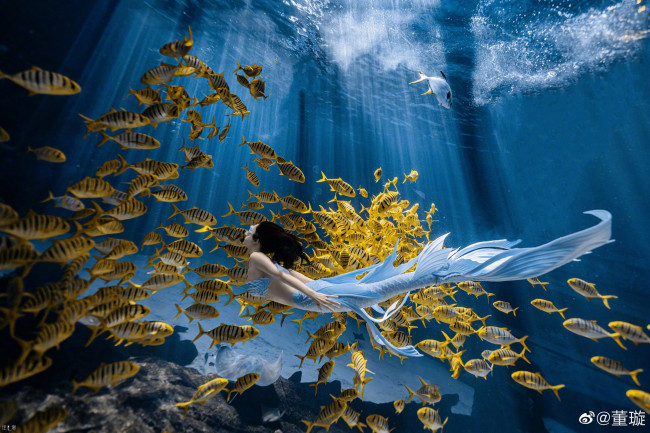 Обои картинки фото девушки, - креатив,  косплей, русалка