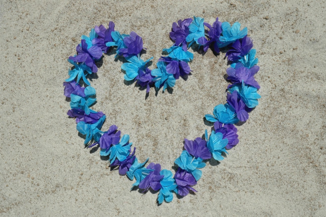 Обои картинки фото праздничные, день святого валентина,  сердечки,  любовь, сердечко, цветы