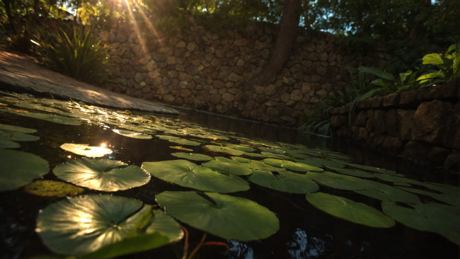 Обои картинки фото 3д графика, природа , nature, нейросети, графика, нейроарт, ai, art, нейронные, сети, рисунки, нейро, искусство, нейрографика, graphics, neuroart, neural, networks, drawings, neuro, neurography