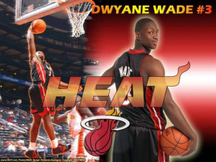 Картинка спорт nba