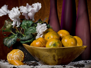 Картинка еда цитрусы