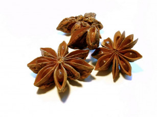 Картинка еда крупы зерно специи семечки