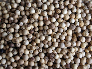 Картинка еда крупы зерно специи семечки