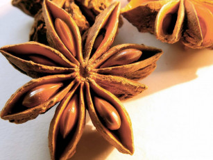 Картинка еда крупы зерно специи семечки бадьян семя