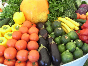 Картинка еда овощи