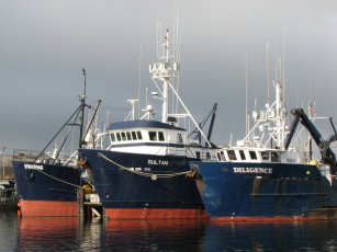 Картинка корабли разные вместе