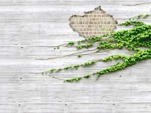 Картинка разное компьютерный дизайн