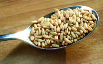 Картинка еда