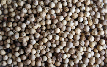 Картинка еда