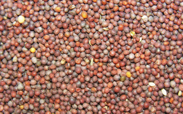 Картинка еда