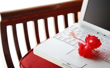 Картинка разное другое