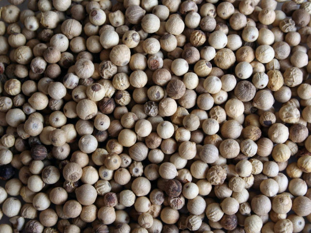 Обои картинки фото еда, крупы, зерно, специи, семечки