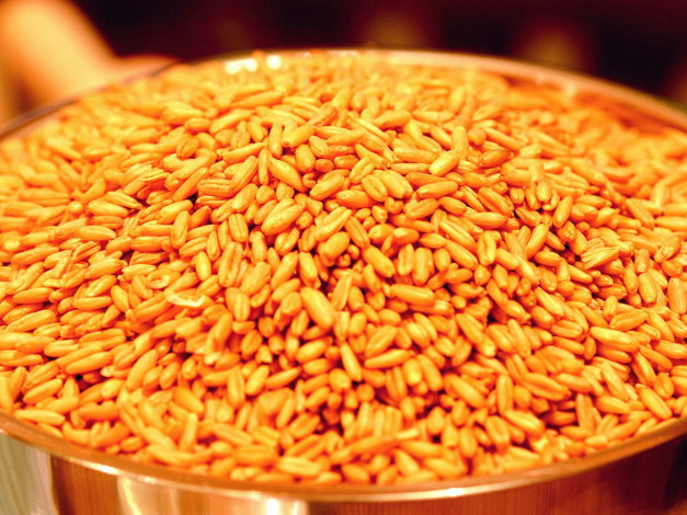 Обои картинки фото еда, крупы, зерно, специи, семечки