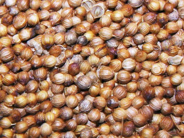 Обои картинки фото еда, крупы, зерно, специи, семечки