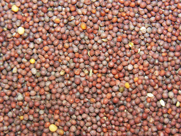 Обои картинки фото еда, крупы, зерно, специи, семечки