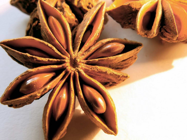 Обои картинки фото еда, крупы, зерно, специи, семечки, бадьян, семя